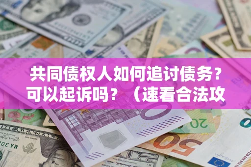 北京共同债权人如何追讨债务？可以起诉吗？（速看合法攻略）